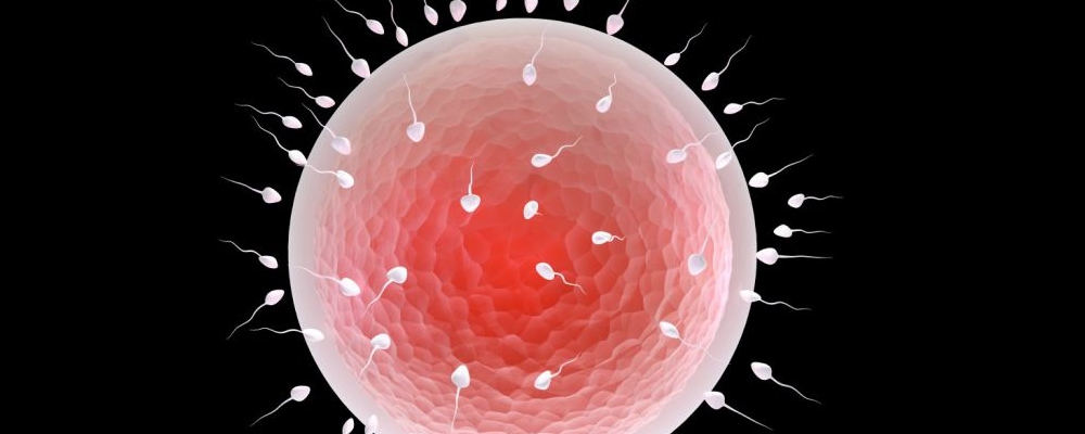 唐山月子中心2025年价格表及排名分享