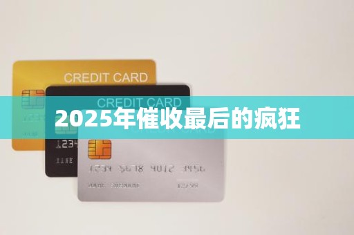 2025年催收最后的疯狂