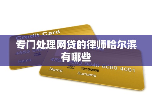 专门处理网贷的律师哈尔滨有哪些