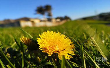 虚标原价如何处罚