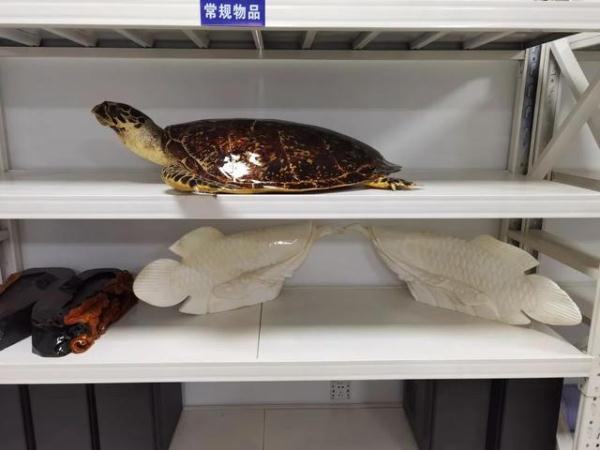 涉案百万！警方最新破获！