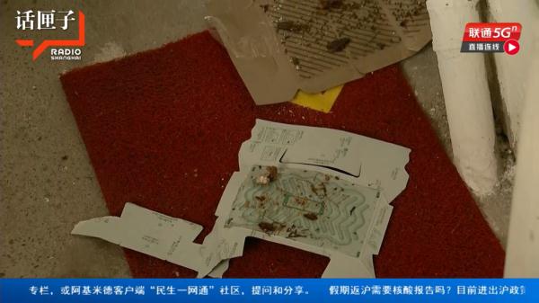 沪一小区居民楼道内做这事引来蟑螂无数，邻居：好想逃，却逃不掉...