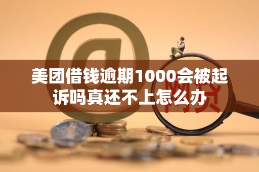 美团借钱逾期1000会被起诉吗真还不上怎么办
