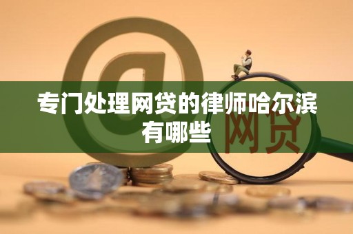 专门处理网贷的律师哈尔滨有哪些