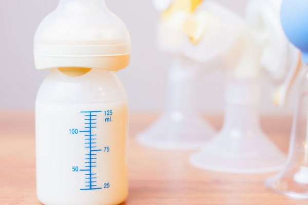 2025年什么牌的奶粉好