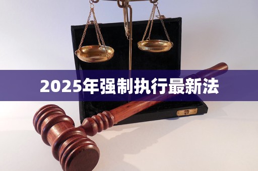 2025年强制执行最新法