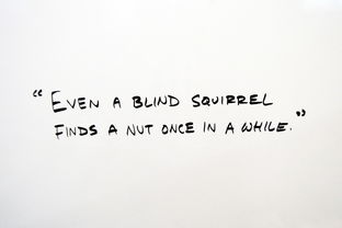 加白是什么意思？为什么这个词在网上越来越常见？