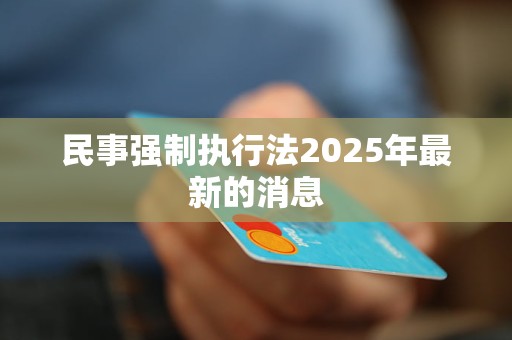 民事强制执行法2025年最新的消息