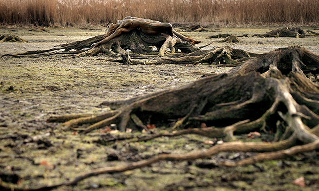 逆天人体彩绘将美女与自然融为一体 超强伪装考验你眼力
