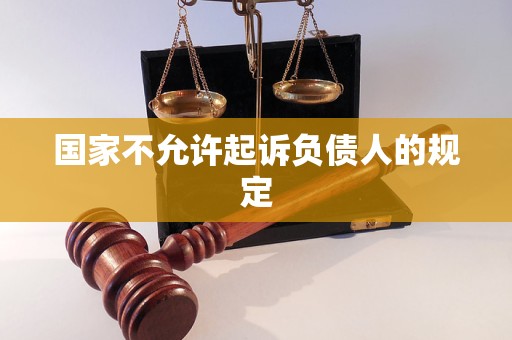 国家不允许起诉负债人的规定