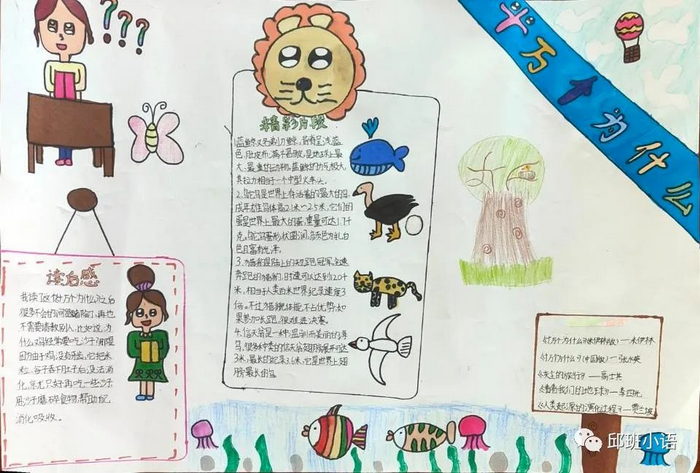 十万个为什么科普手抄报内容