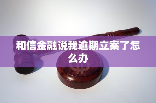 和信金融说我逾期立案了怎么办