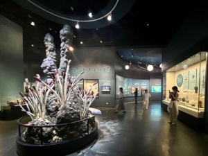 下雨天只能宅在家?在柳州,你还可以这么玩→