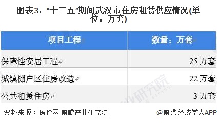 图表3：“十三五”期间武汉市住房租赁供应情况(单位：万套)