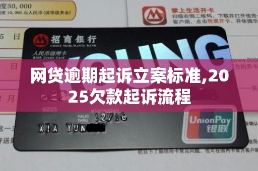 网贷逾期起诉立案标准,2025欠款起诉流程