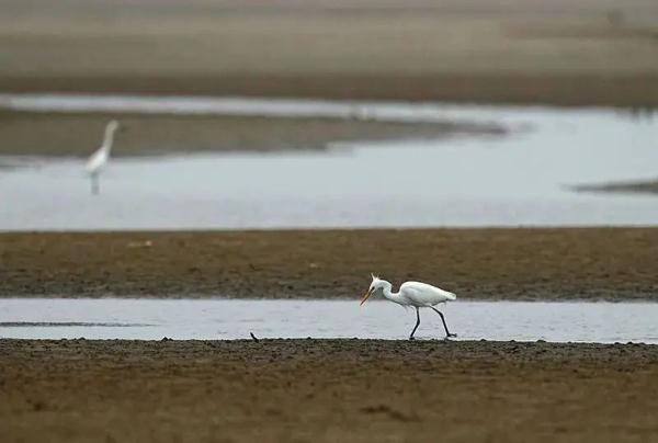 明天起,这些新规将影响你我生活