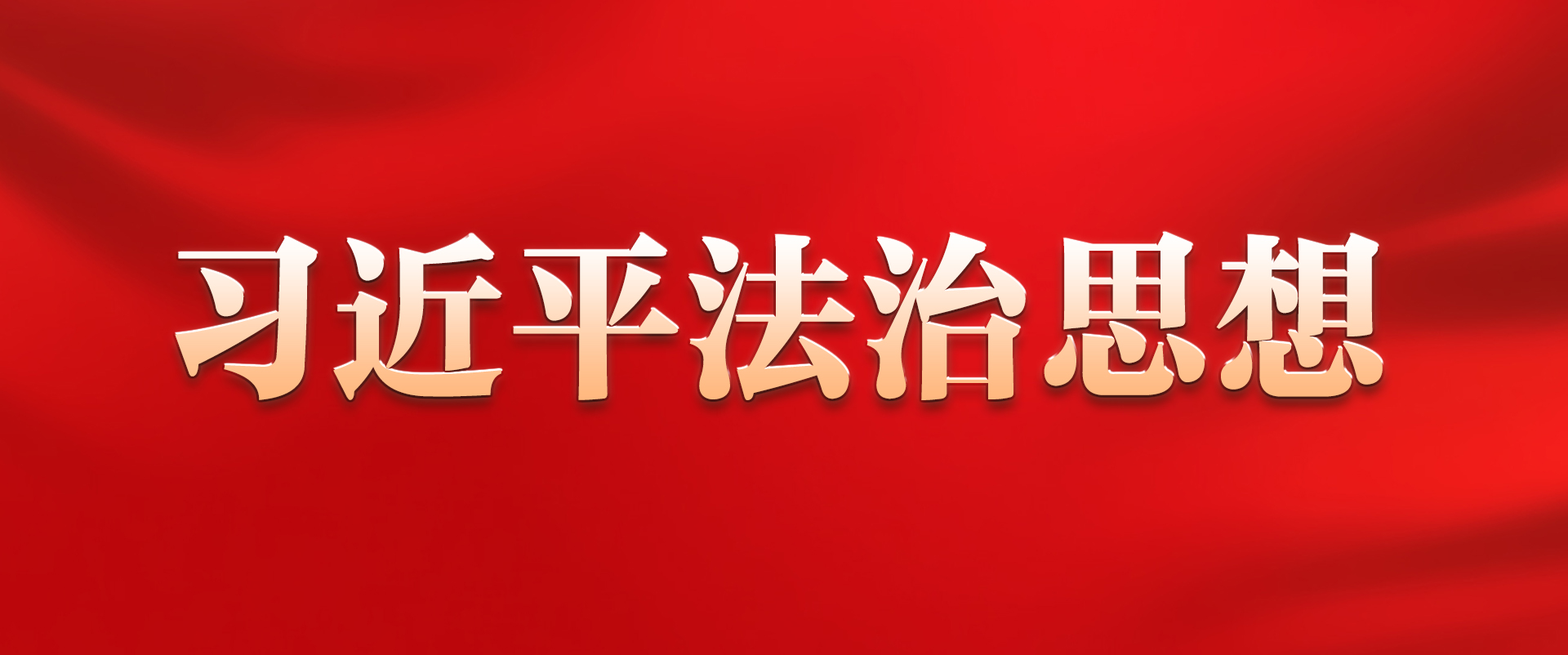 习近平法治思想