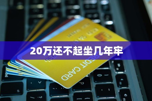 20万还不起坐几年牢