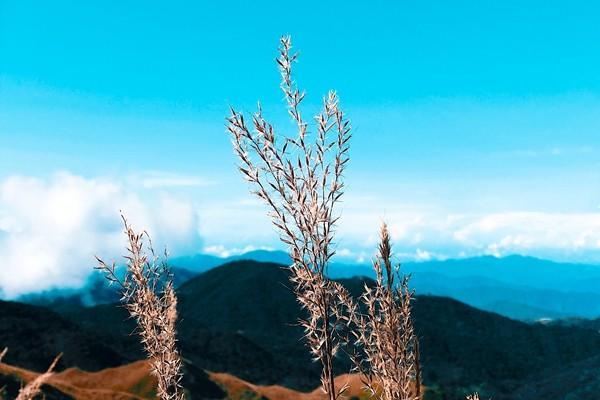 新农合医保网上缴费怎么交?可以查询缴费记录吗?