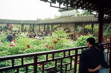 枯枝牡丹园高清大图