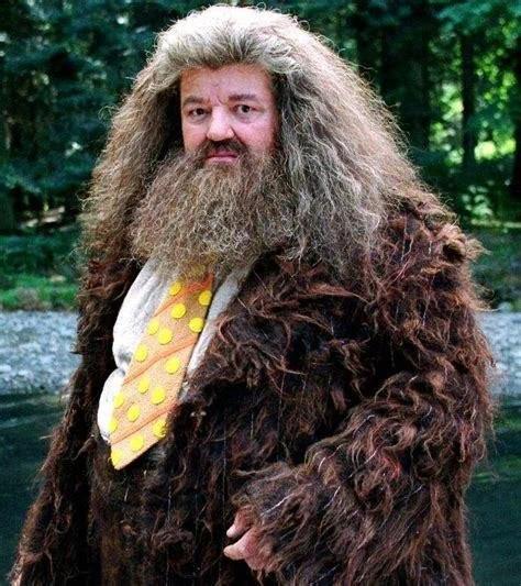 《哈利波特》海格扮演者罗彼·考特拉尼去世