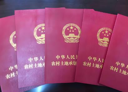 农村土地确权的最新法律法规2025年