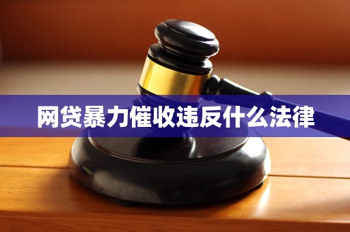 网贷暴力催收违反什么法律