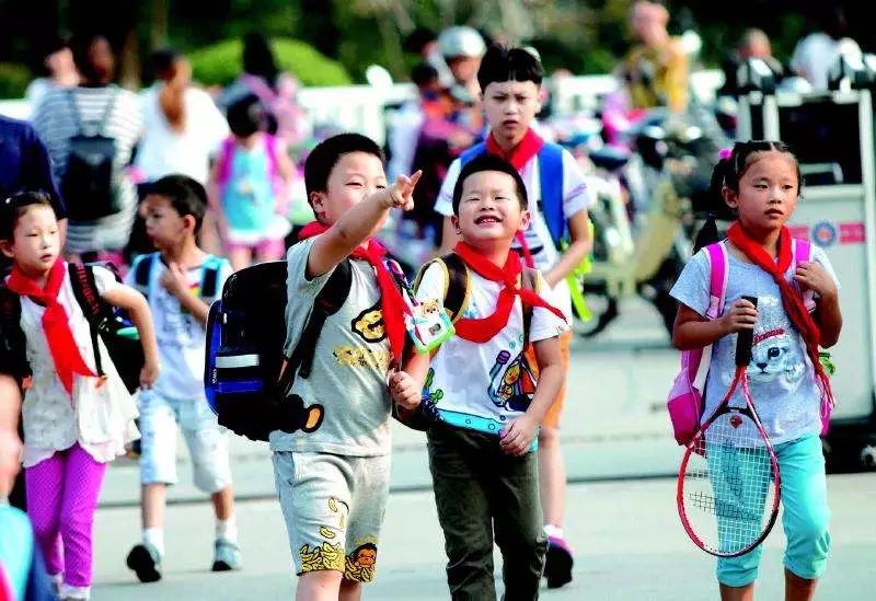 你好！代表（视频）