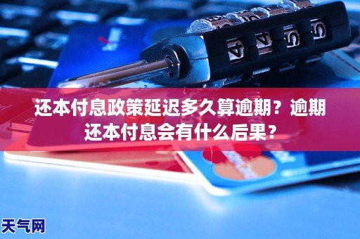 还本付息政策延迟多久算逾期?逾期还本付息会有什么后果?