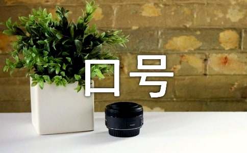 新媒体团队口号(精选130句)