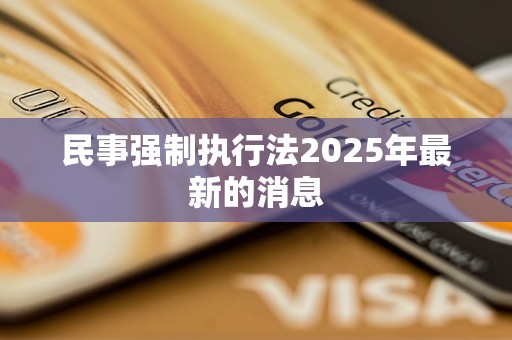 民事强制执行法2025年最新的消息