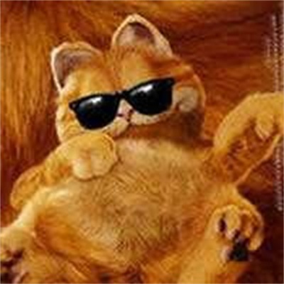 滑稽图片搞笑图片大全