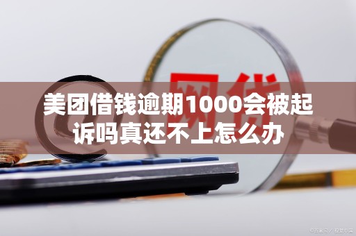 美团借钱逾期1000会被起诉吗真还不上怎么办