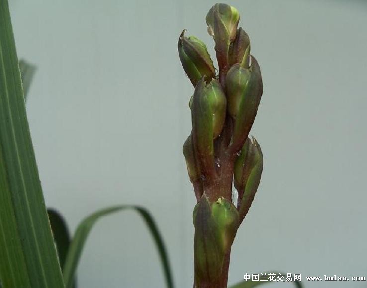 点击图片在新窗口浏览原图