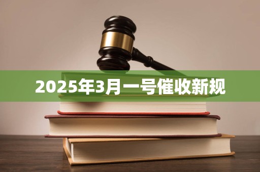 2025年3月一号催收新规
