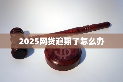 2025网贷逾期了怎么办