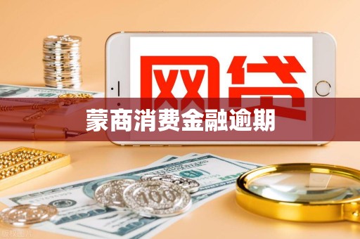 蒙商消费金融逾期