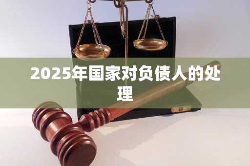 2025年国家对负债人的处理