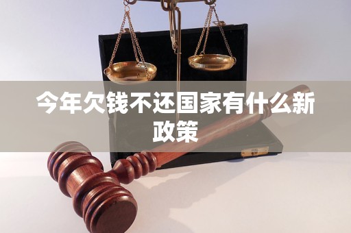 今年欠钱不还国家有什么新政策