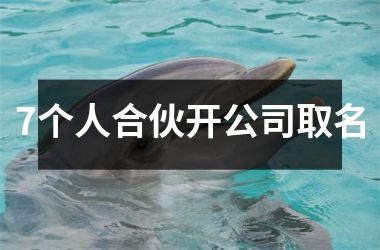h3/p7个人合伙开公司取名