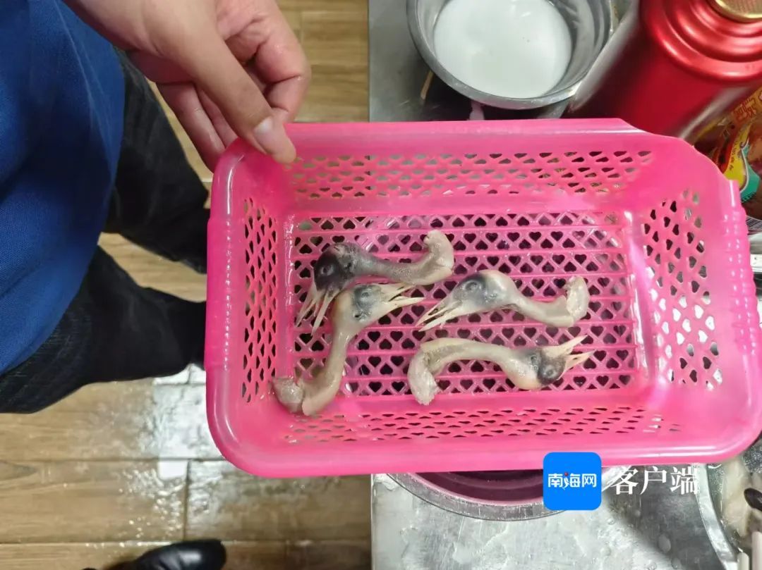 3名村民吃癞蛤蟆中毒后续：文昌对18家饭店联合检查，发现疑似果子狸肉→