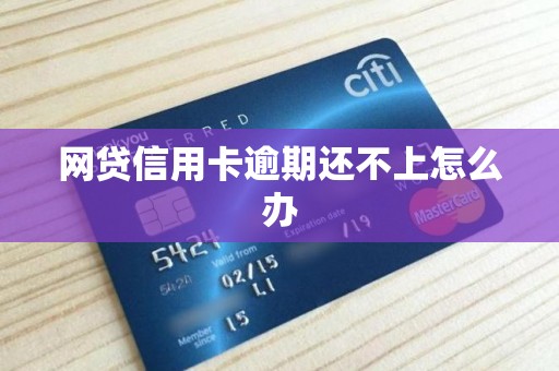网贷信用卡逾期还不上怎么办