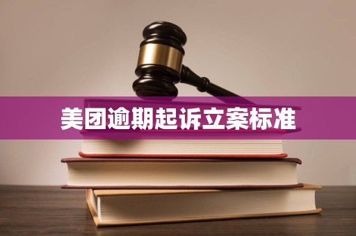 美团逾期起诉立案标准