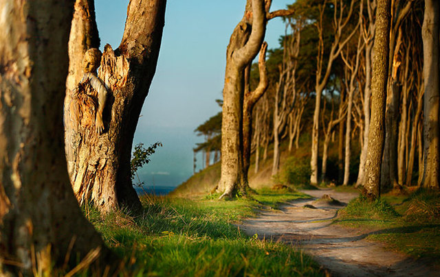 逆天人体彩绘将美女与自然融为一体 超强伪装考验你眼力
