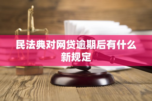 民法典对网贷逾期后有什么新规定