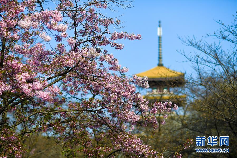 (新华全媒头条·图文互动)(4)青春的力量 时代的脊梁——记抗疫一线的“90后”“00后”年轻人