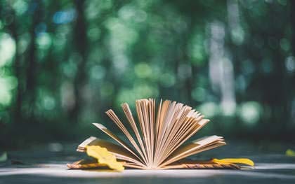 与著作权法相关的行政法规有哪些