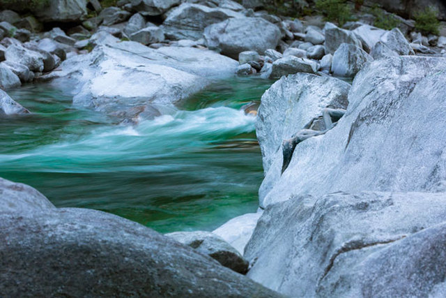 逆天人体彩绘将美女与自然融为一体 超强伪装考验你眼力
