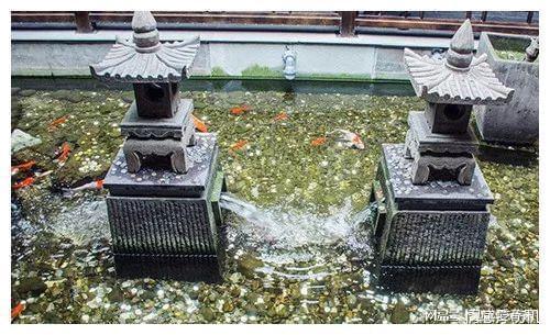 游客偷许愿池的钱遭道长呵斥 当场让其交出来归还回去