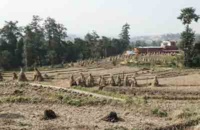 农村环境保护论文